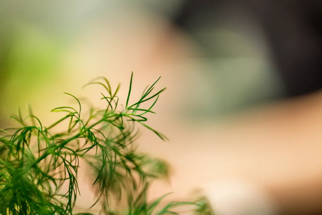 leinfellner_filmografie.at_sRGB__HY_6121